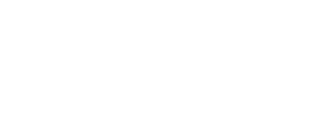Kiwe's Party Bus